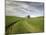 Old Barn in Wheat Field-Terry Eggers-Mounted Photographic Print