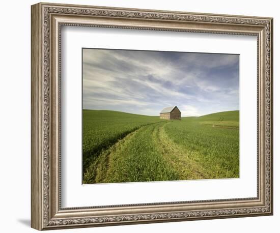 Old Barn in Wheat Field-Terry Eggers-Framed Photographic Print