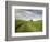 Old Barn in Wheat Field-Terry Eggers-Framed Photographic Print