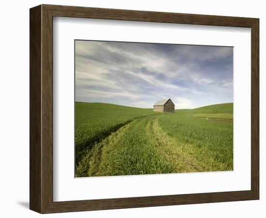 Old Barn in Wheat Field-Terry Eggers-Framed Photographic Print