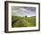 Old Barn in Wheat Field-Terry Eggers-Framed Photographic Print