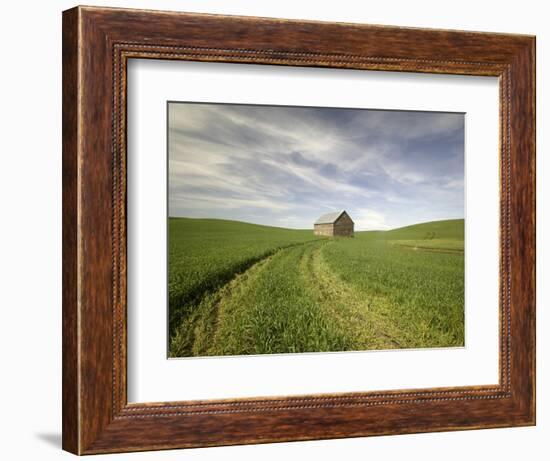 Old Barn in Wheat Field-Terry Eggers-Framed Photographic Print