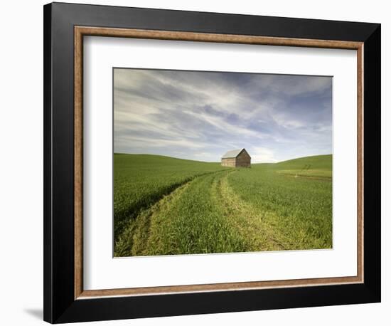 Old Barn in Wheat Field-Terry Eggers-Framed Photographic Print