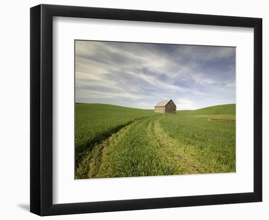 Old Barn in Wheat Field-Terry Eggers-Framed Photographic Print