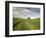 Old Barn in Wheat Field-Terry Eggers-Framed Photographic Print