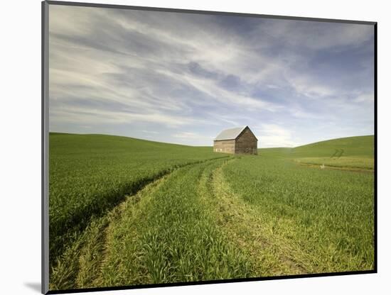 Old Barn in Wheat Field-Terry Eggers-Mounted Photographic Print