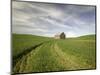 Old Barn in Wheat Field-Terry Eggers-Mounted Photographic Print