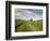 Old Barn in Wheat Field-Terry Eggers-Framed Photographic Print