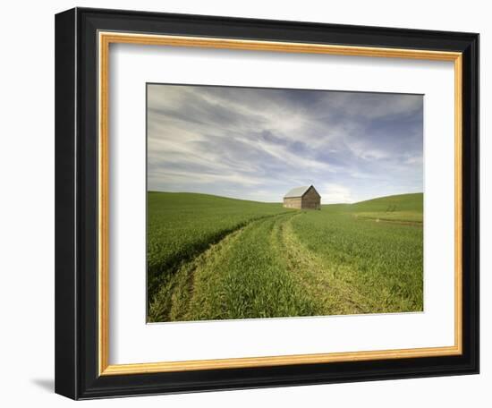 Old Barn in Wheat Field-Terry Eggers-Framed Photographic Print