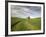 Old Barn in Wheat Field-Terry Eggers-Framed Photographic Print