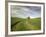 Old Barn in Wheat Field-Terry Eggers-Framed Photographic Print