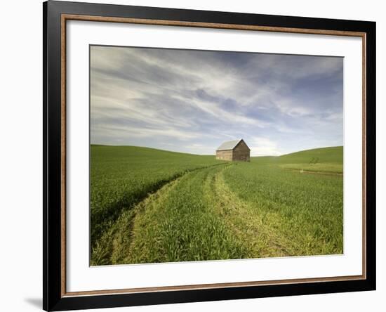 Old Barn in Wheat Field-Terry Eggers-Framed Photographic Print