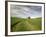 Old Barn in Wheat Field-Terry Eggers-Framed Photographic Print