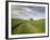 Old Barn in Wheat Field-Terry Eggers-Framed Photographic Print