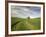 Old Barn in Wheat Field-Terry Eggers-Framed Photographic Print