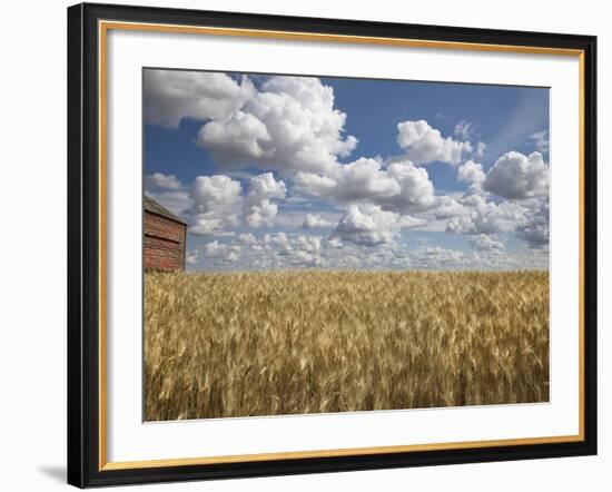 Old Barn in Wheat Field-Benjamin Rondel-Framed Photographic Print