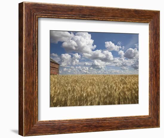 Old Barn in Wheat Field-Benjamin Rondel-Framed Photographic Print