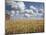 Old Barn in Wheat Field-Benjamin Rondel-Mounted Photographic Print