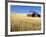 Old Barn in Wheatfield near Harvest Time, Whitman County, Washington, USA-Julie Eggers-Framed Photographic Print