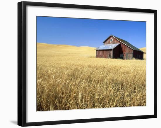 Old Barn in Wheatfield near Harvest Time, Whitman County, Washington, USA-Julie Eggers-Framed Photographic Print