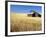 Old Barn in Wheatfield near Harvest Time, Whitman County, Washington, USA-Julie Eggers-Framed Photographic Print