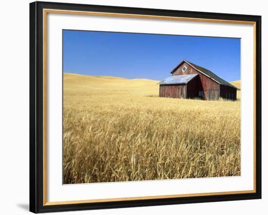 Old Barn in Wheatfield near Harvest Time, Whitman County, Washington, USA-Julie Eggers-Framed Photographic Print