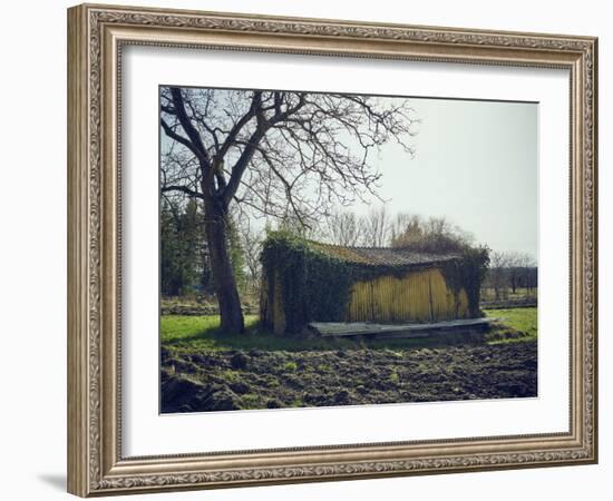 Old barn on a meadow with tree and the sun, autumn, back light-Axel Killian-Framed Photographic Print