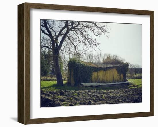 Old barn on a meadow with tree and the sun, autumn, back light-Axel Killian-Framed Photographic Print