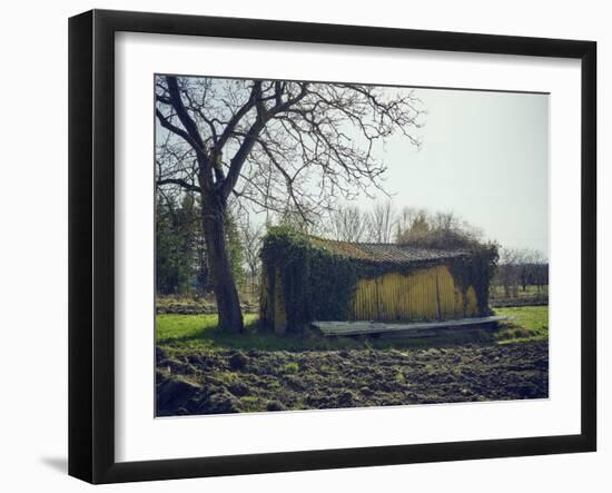 Old barn on a meadow with tree and the sun, autumn, back light-Axel Killian-Framed Photographic Print