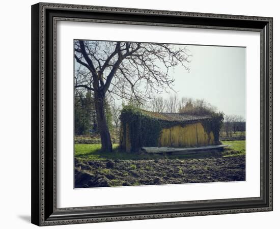 Old barn on a meadow with tree and the sun, autumn, back light-Axel Killian-Framed Photographic Print