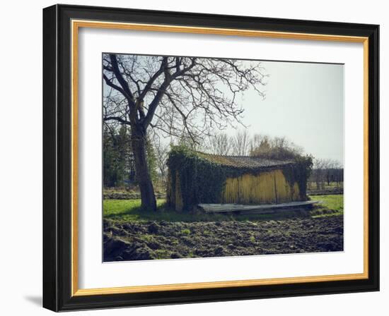 Old barn on a meadow with tree and the sun, autumn, back light-Axel Killian-Framed Photographic Print