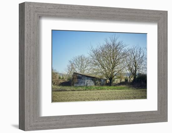 Old barn on a meadow with trees and the sun in autumn, back light-Axel Killian-Framed Photographic Print