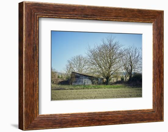 Old barn on a meadow with trees and the sun in autumn, back light-Axel Killian-Framed Photographic Print