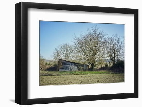 Old barn on a meadow with trees and the sun in autumn, back light-Axel Killian-Framed Photographic Print