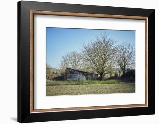 Old barn on a meadow with trees and the sun in autumn, back light-Axel Killian-Framed Photographic Print