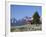 Old Barn, Sawtooth National Recreation Area, Idaho, USA-Jamie & Judy Wild-Framed Photographic Print