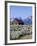 Old Barn, Sawtooth National Recreation Area, Idaho, USA-Jamie & Judy Wild-Framed Photographic Print