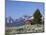 Old Barn, Sawtooth National Recreation Area, Idaho, USA-Jamie & Judy Wild-Mounted Photographic Print