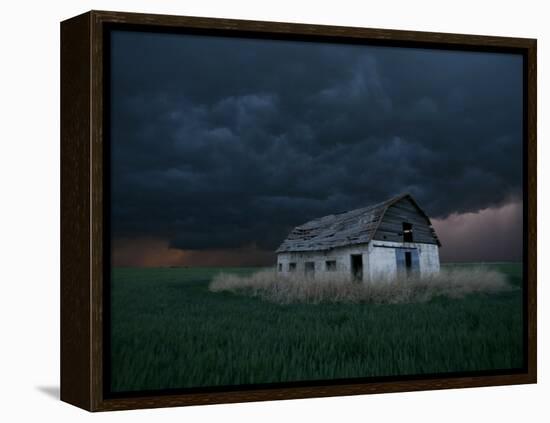 Old Barn Stands in a Wheat Field as a Thunderstorm Passes in the Distance Near Ogallah, Kansas-null-Framed Premier Image Canvas