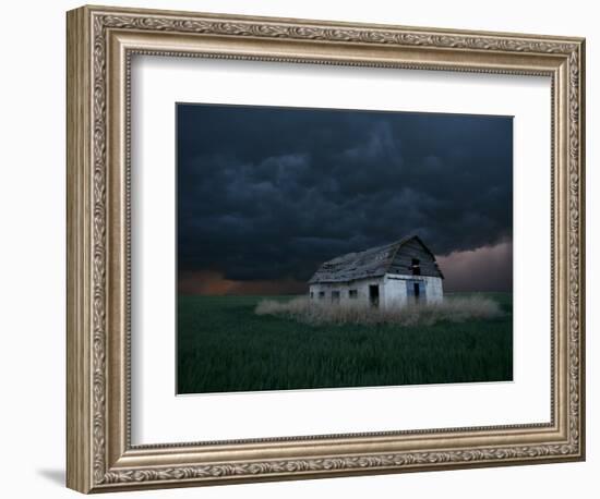 Old Barn Stands in a Wheat Field as a Thunderstorm Passes in the Distance Near Ogallah, Kansas--Framed Photographic Print