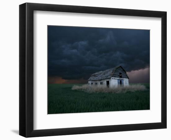 Old Barn Stands in a Wheat Field as a Thunderstorm Passes in the Distance Near Ogallah, Kansas--Framed Photographic Print