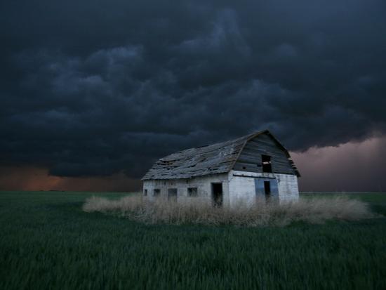 Photographic Print, , large