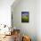 Old Barn Surrounded by Spring Wheat Field, Pr-Terry Eggers-Framed Premier Image Canvas displayed on a wall