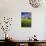 Old Barn Surrounded by Spring Wheat Field, Pr-Terry Eggers-Photographic Print displayed on a wall