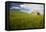 Old Barn Surrounded by Spring Wheat Field, Pr-Terry Eggers-Framed Premier Image Canvas