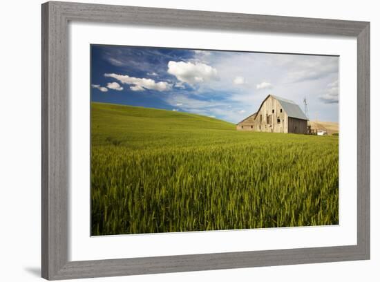 Old Barn Surrounded by Spring Wheat Field, Pr-Terry Eggers-Framed Photographic Print
