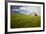 Old Barn Surrounded by Spring Wheat Field, Pr-Terry Eggers-Framed Photographic Print