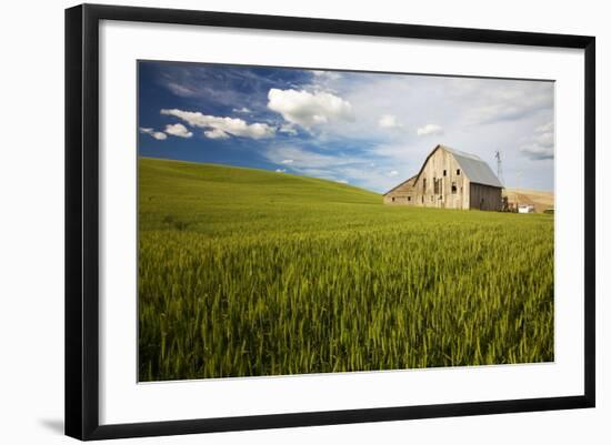 Old Barn Surrounded by Spring Wheat Field, Pr-Terry Eggers-Framed Photographic Print