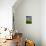 Old Barn Surrounded by Spring Wheat Field, Pr-Terry Eggers-Photographic Print displayed on a wall