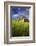 Old Barn Surrounded by Spring Wheat Field, Pr-Terry Eggers-Framed Photographic Print